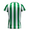 Officiële Voetbalshirt Real Betis Special Edition 2023-24 - Heren